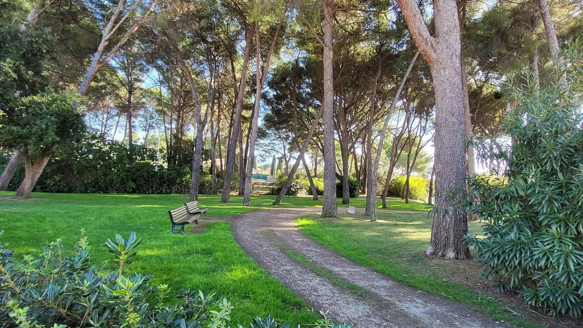 Appartement T2 Avec Piscine Gratuite, Parking Privatif, A 200M De La Plage - Animaux Acceptes - Fr-1-316-336 Six-Fours-les-Plages Apartment